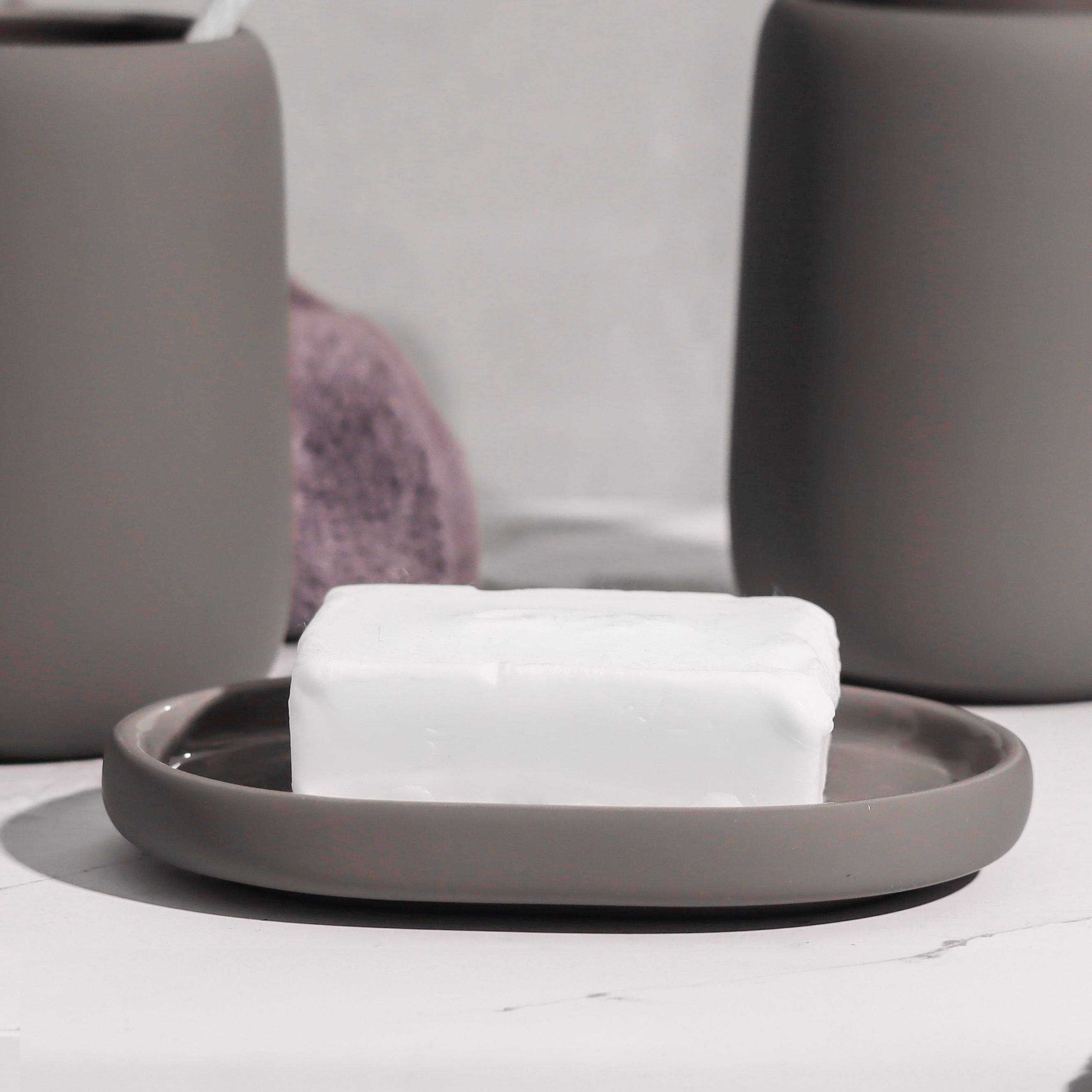 Blomus Germany Sono Soap Dish - Satellite