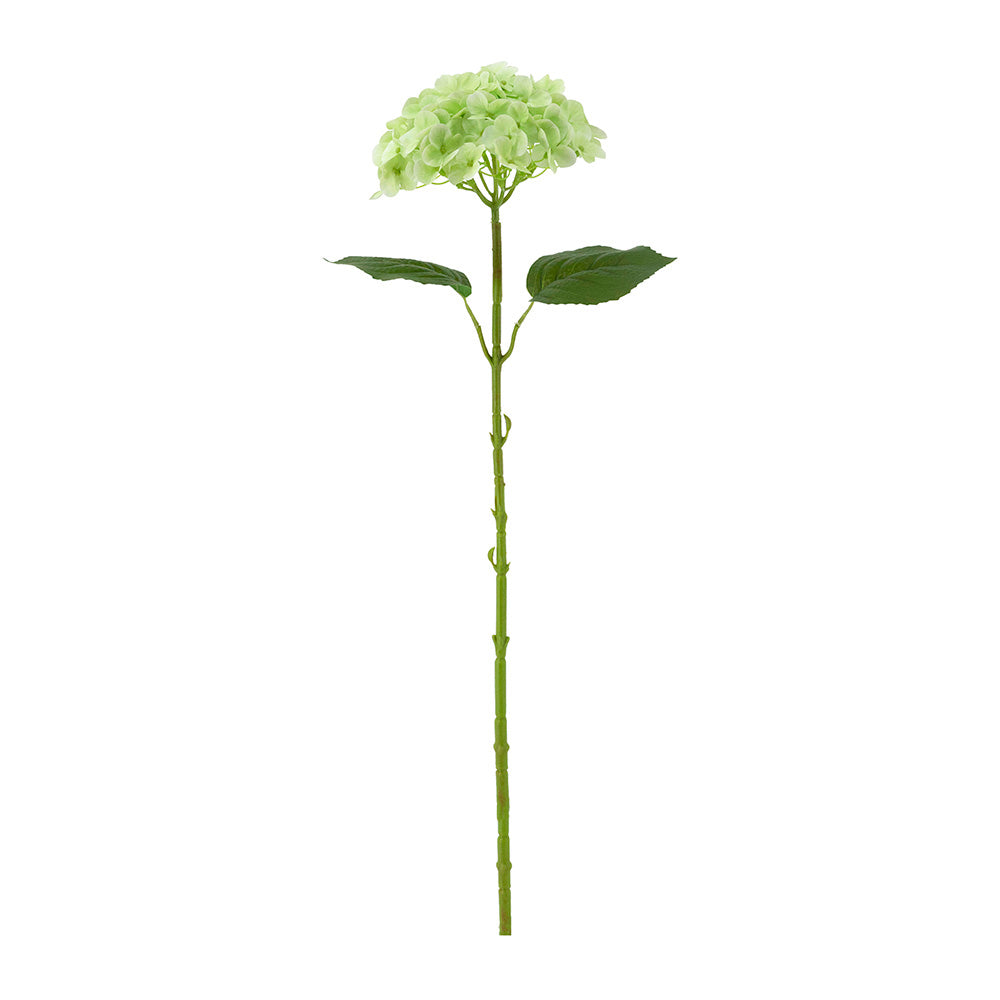 Mophead Hydrangea Faux Stem - Sage
