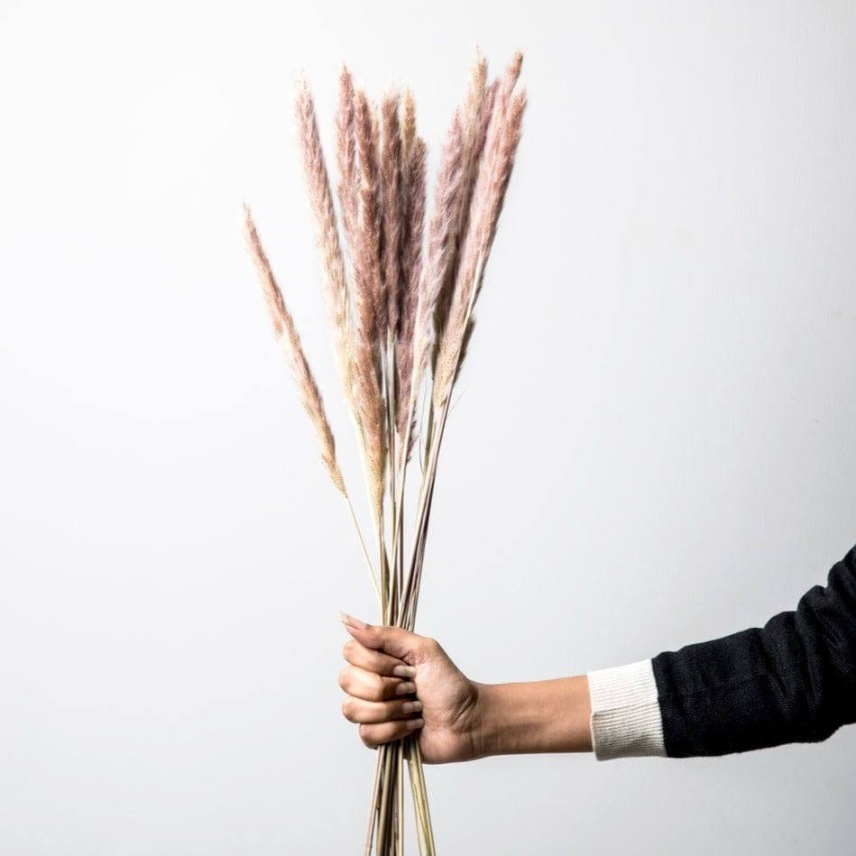 ESQ Living Dried Grass Bunch - Natural