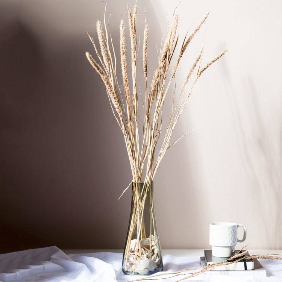 ESQ Living Millet Dried Bunch - Light Brown