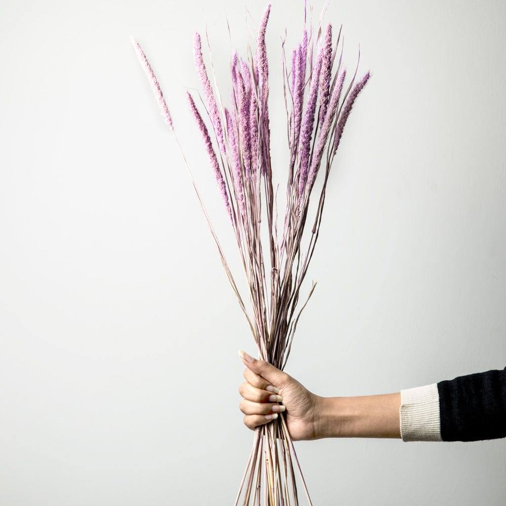 ESQ Living Millet Dried Bunch - Light Purple