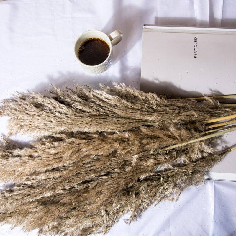 ESQ Living Pampas Dried Bunch - Natural