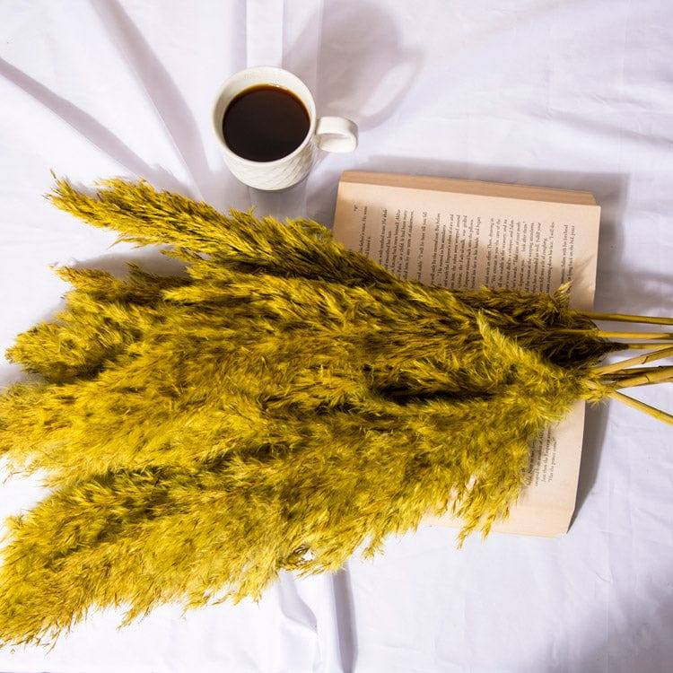 ESQ Living Pampas Dried Bunch - Yellow