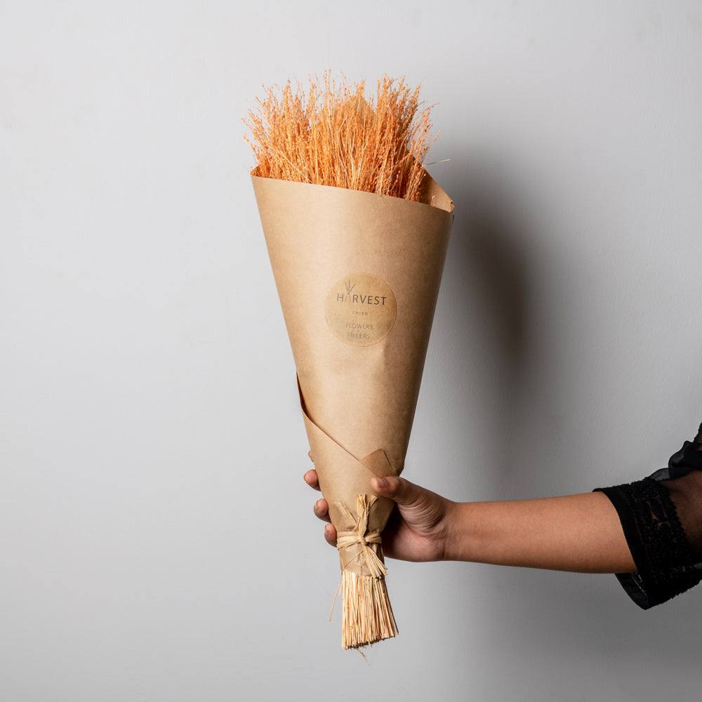ESQ Living Star Grass Dried Bunch - Orange