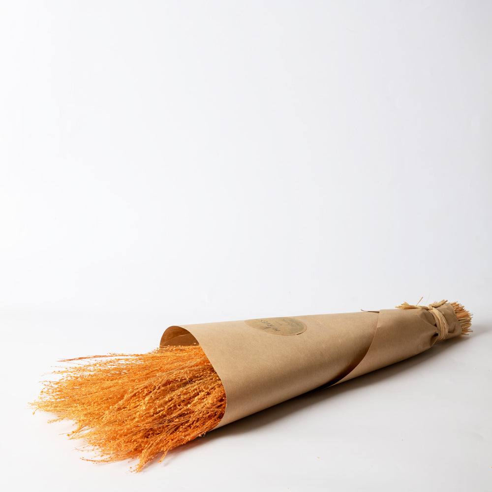 ESQ Living Star Grass Dried Bunch - Orange