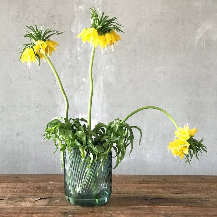 NUDE Turkey Opti Glass Vase Tall - Green