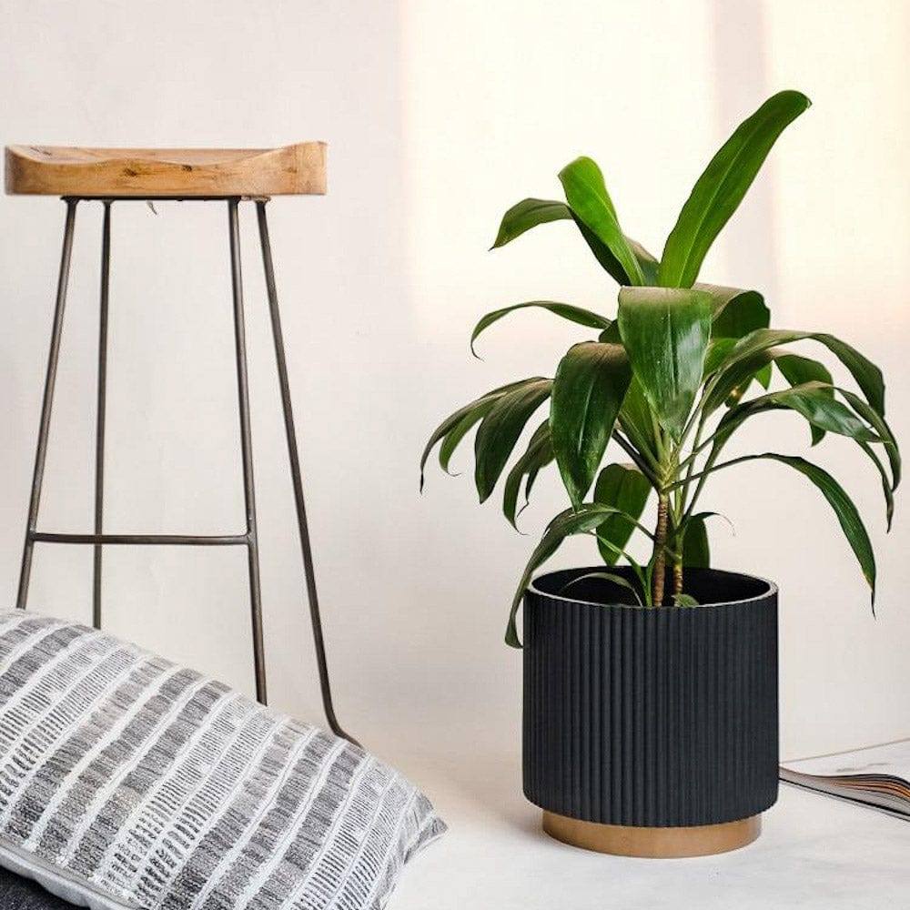 Ripples Home Midori Planter with Base Medium - Black