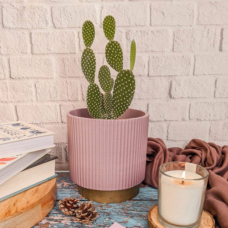 Ripples Home Midori Planter with Base Small - Pink