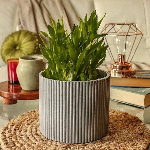 Ripples Home Midori Planter with Stand Small - Grey