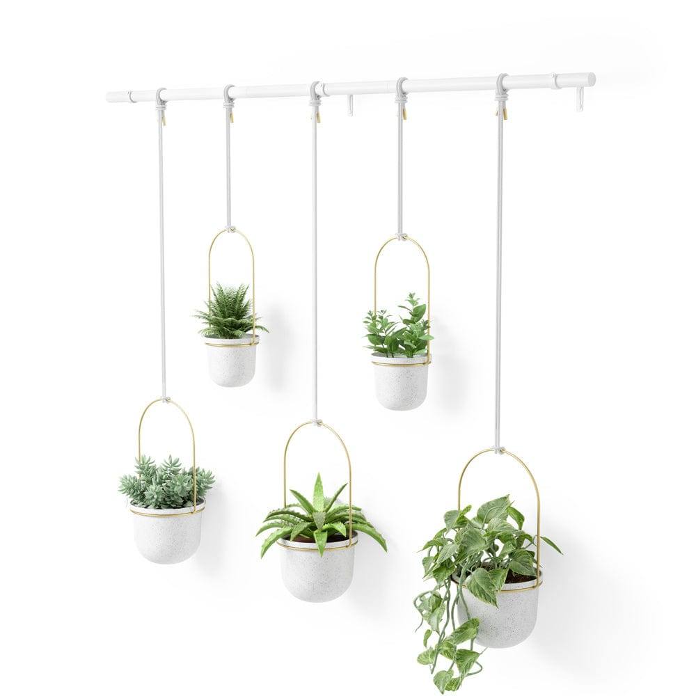 Umbra Triflora Hanging Planters, Set of 5 - White Brass