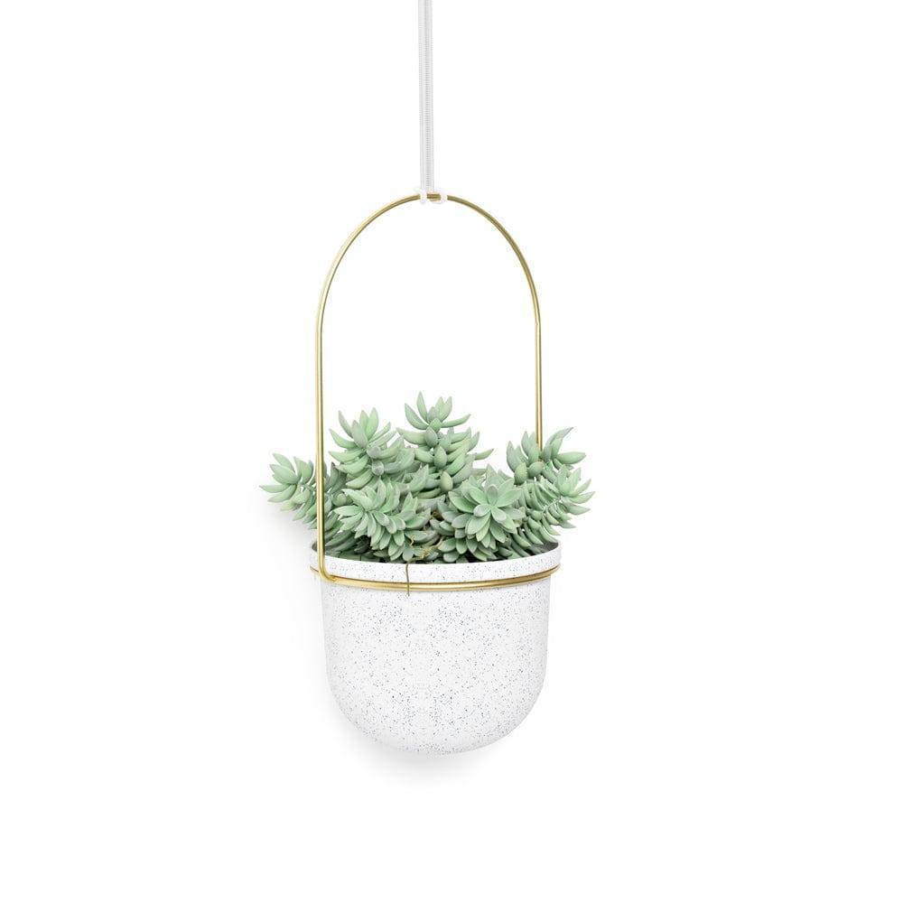 Umbra Triflora Hanging Planters, Set of 5 - White Brass