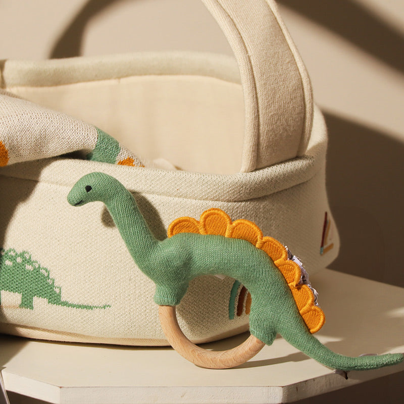 4-Piece Gift Basket - Green Dinosaur