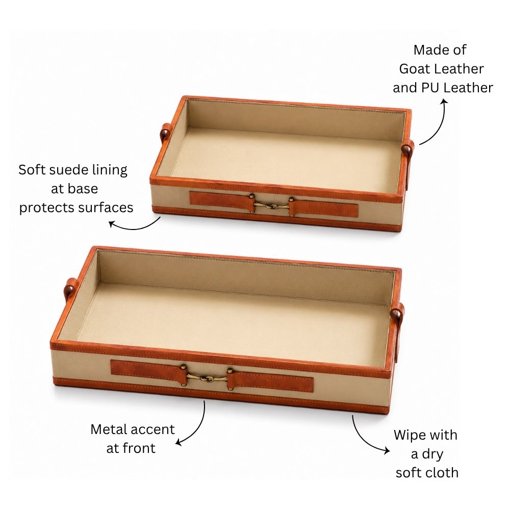 Alma Leather Trays, Set of 2 - Taupe