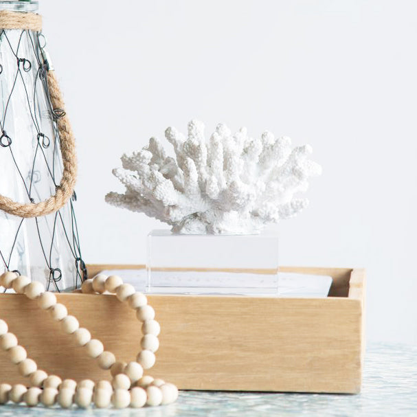 Aqua Coral Decorative Sculpture With Base Small - White