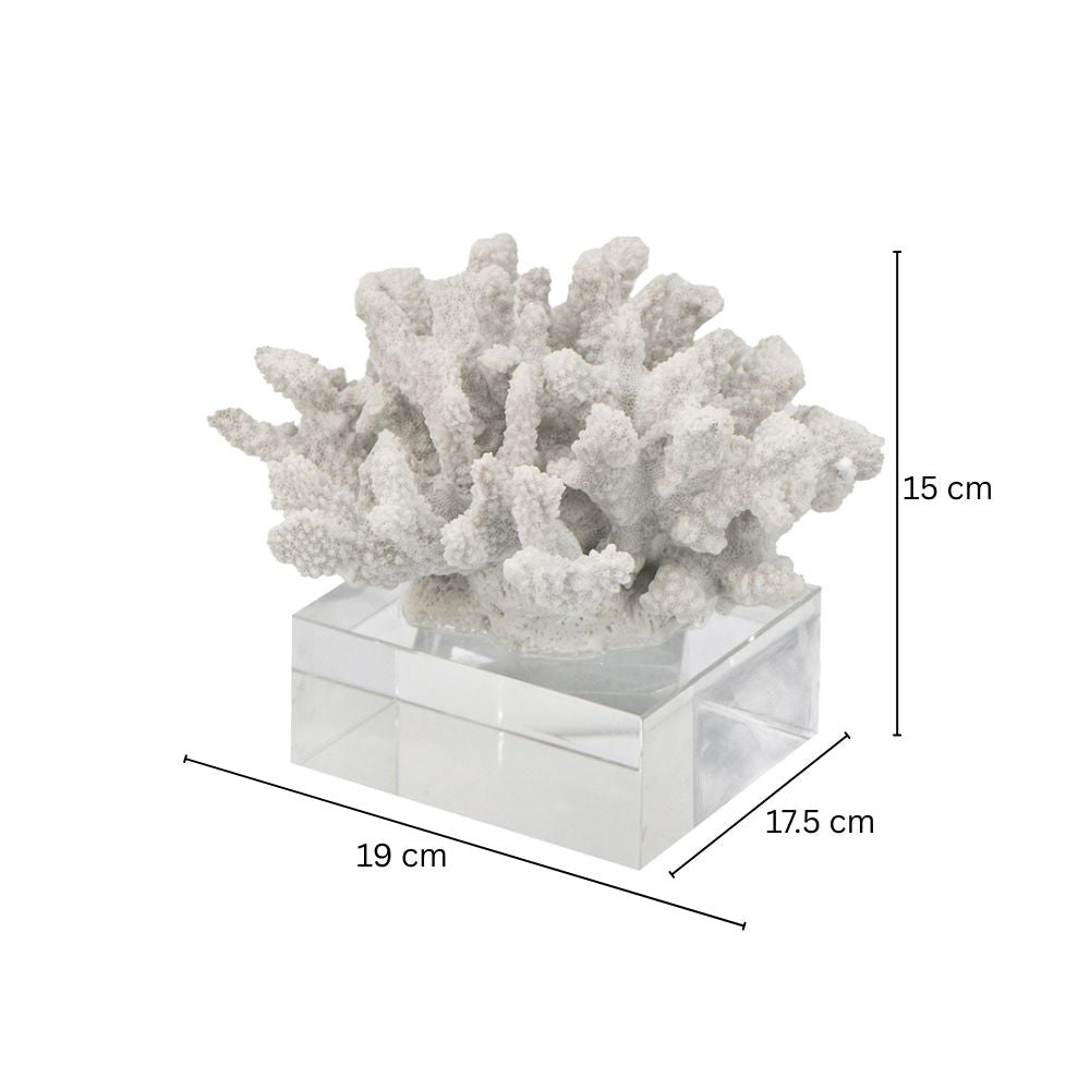 Aqua Coral Decorative Sculpture With Base Small - White