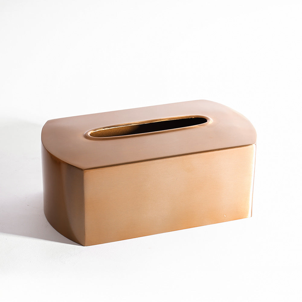 Arza Tissue Box Cover - Champagne Gold