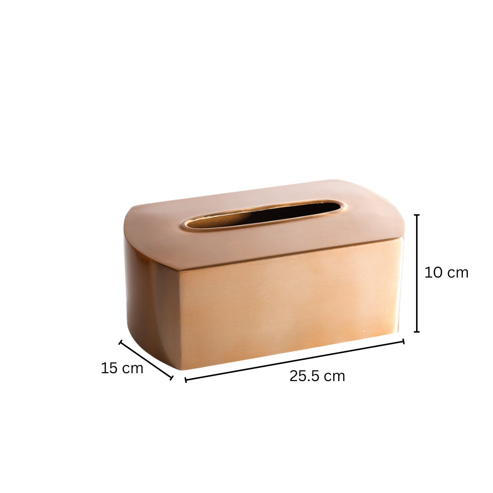 Arza Tissue Box Cover - Champagne Gold