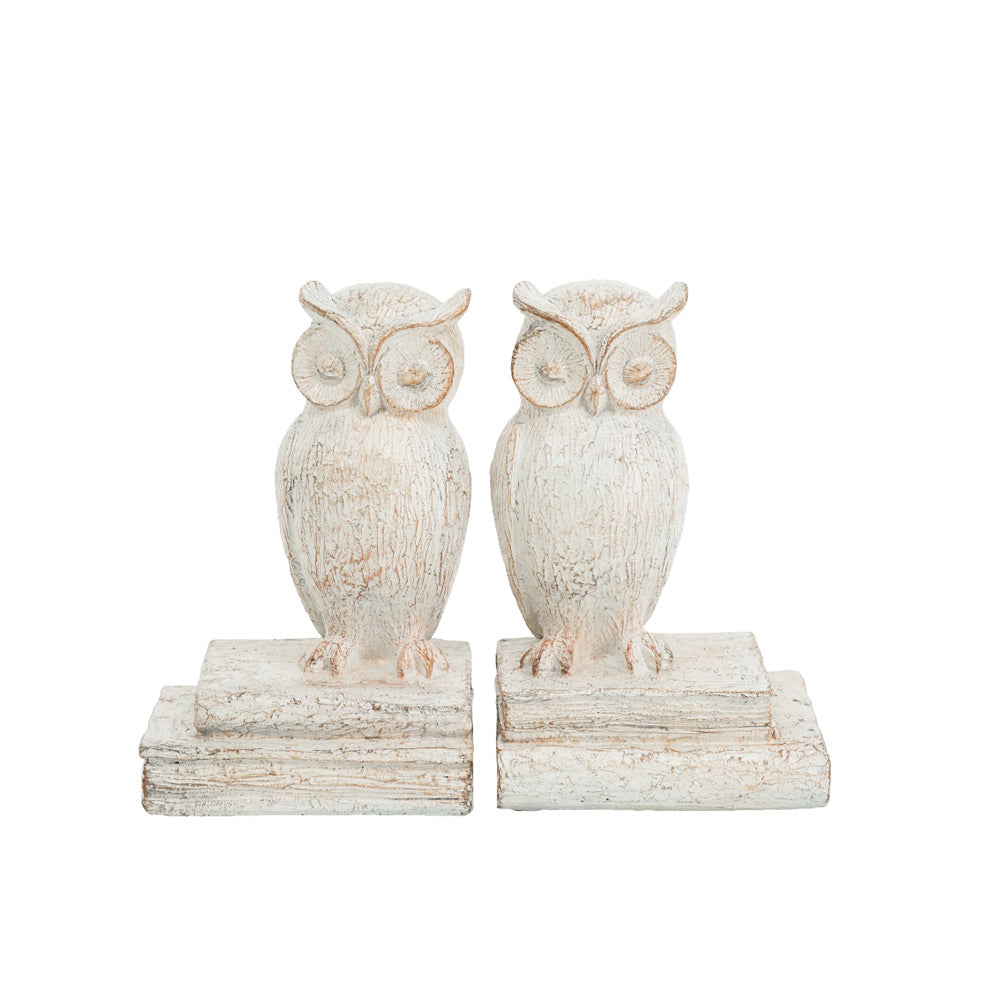 Barred Owl Bookends, Set of 2 - Vintage White