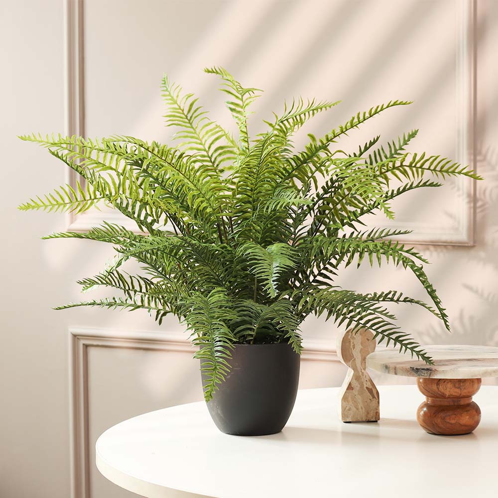 Boston Fern Artificial Potted Plant - Medium
