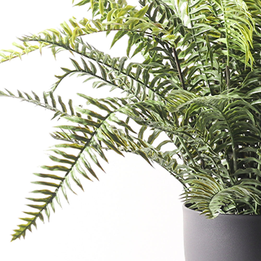 Boston Fern Artificial Potted Plant - Medium