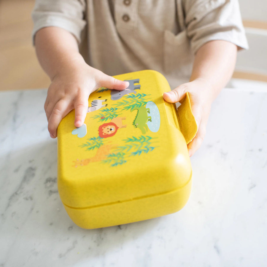 Candy Lunch Box - Africa