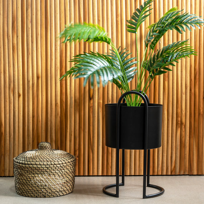 Cara Planter Short - Black