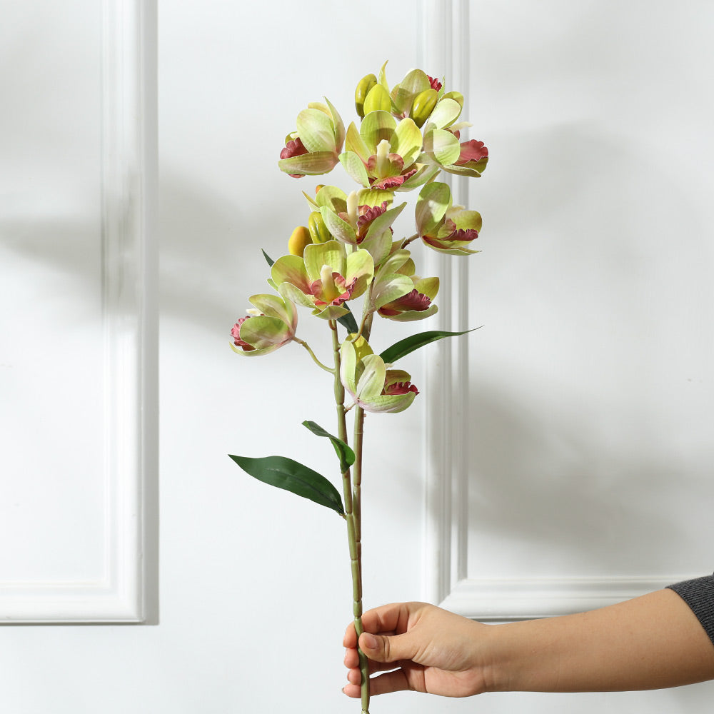 Cattleya Orchid Faux Stem - Chartreuse