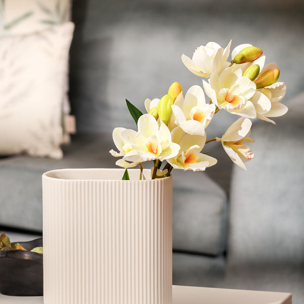 Cattleya Orchid Faux Stem- Buttercream