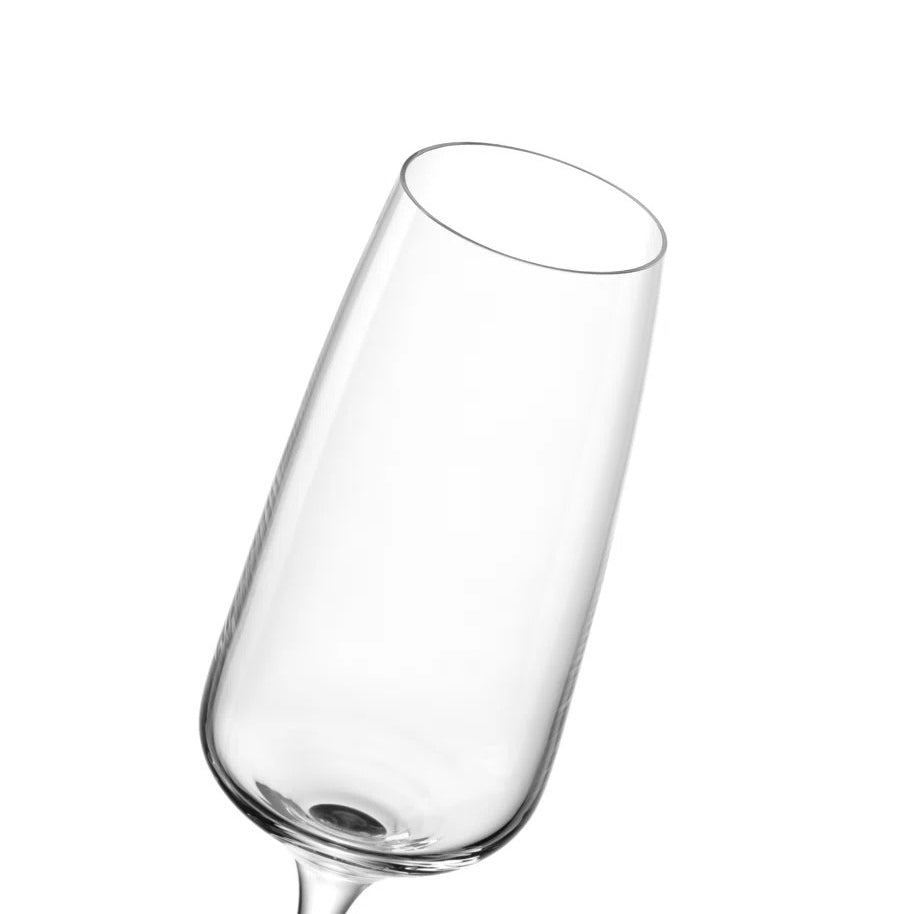 Cesti Champagne Glasses 240ml, Set of 6