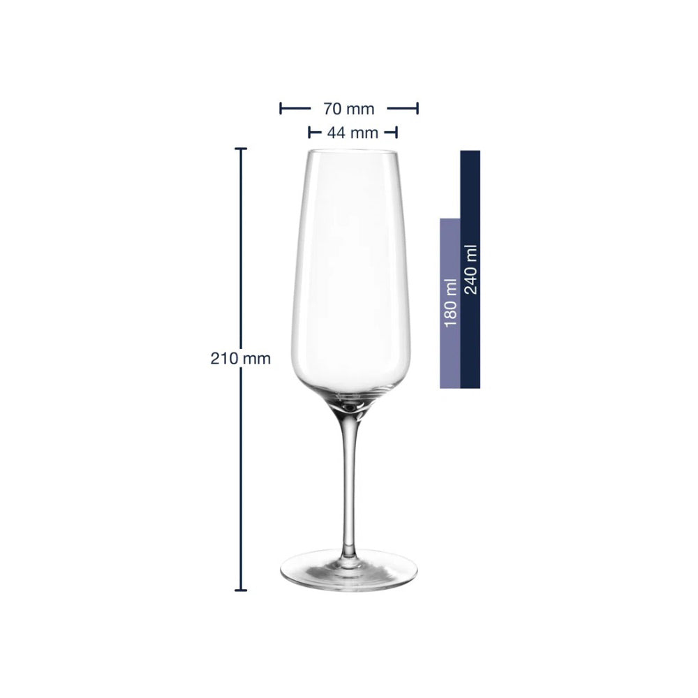 Cesti Champagne Glasses 240ml, Set of 6