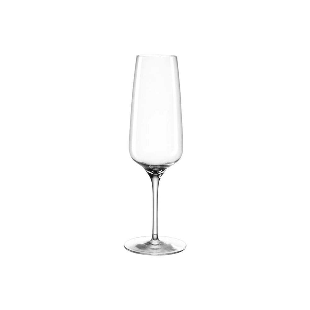 Cesti Champagne Glasses 240ml, Set of 6