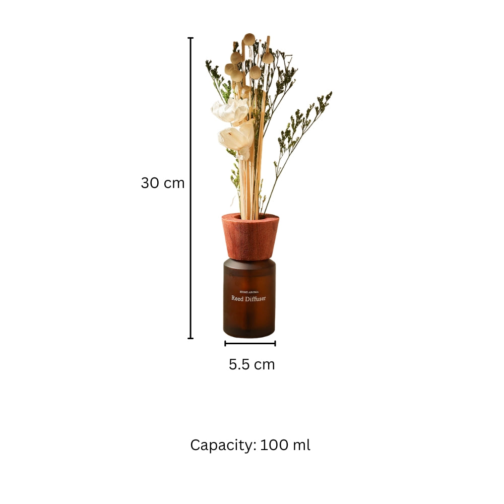 Clara Sandalwood Scented Reed Diffuser - Beige