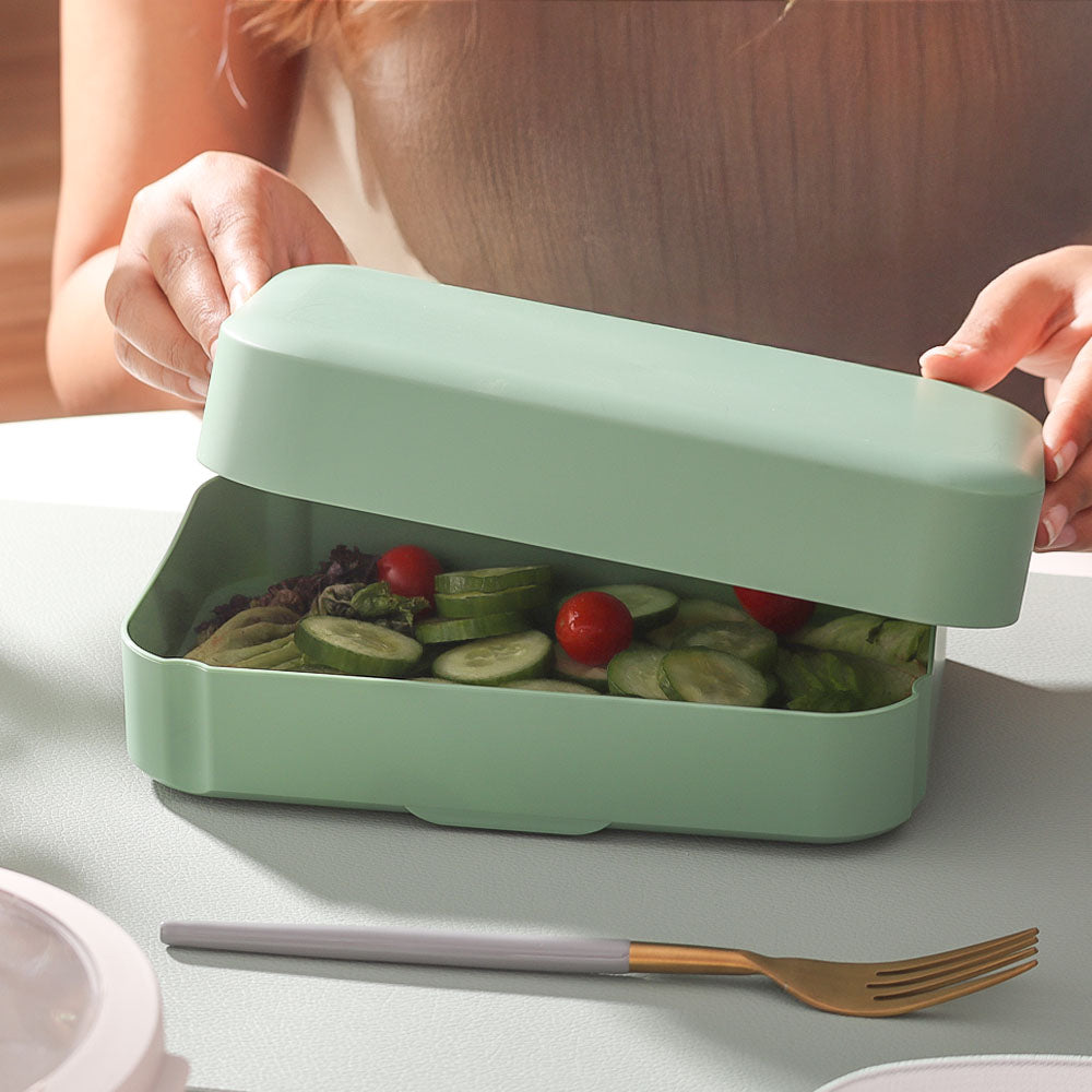 Classic Lunchbox Medium - Sage Green