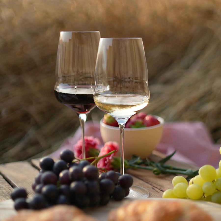 Cocoon Red Wine Glasses 610ml, Set of 2