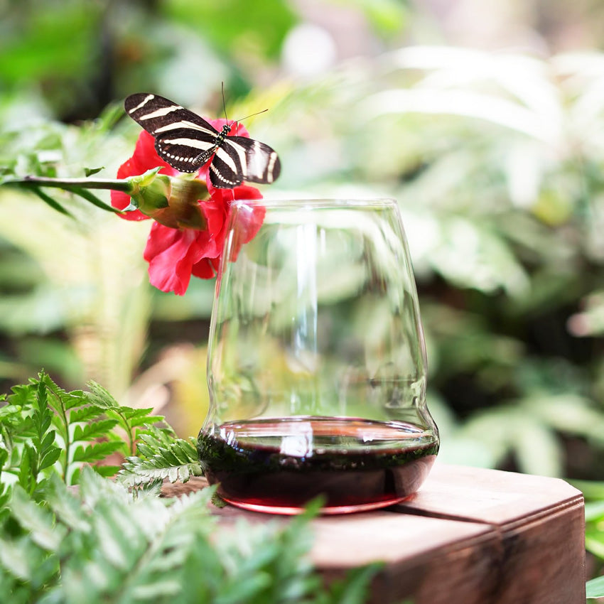 Cocoon Stemless Wine Glasses 555ml, Set of 2