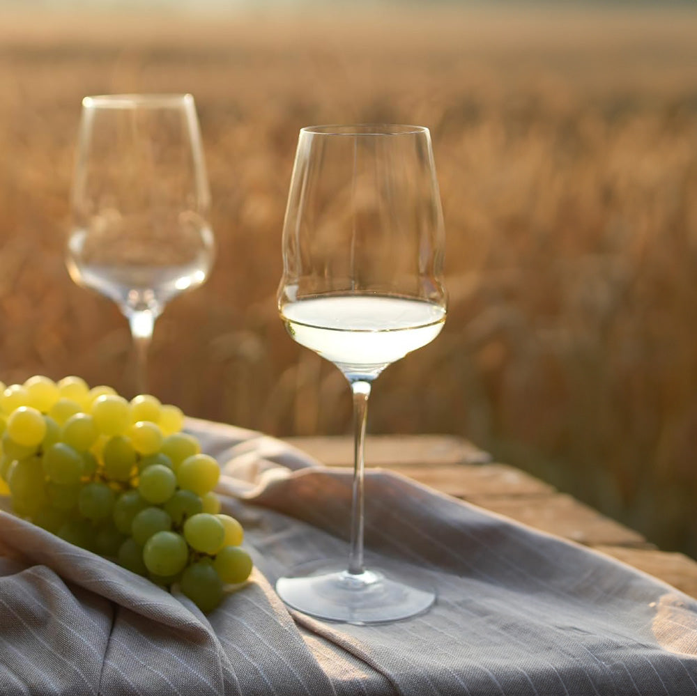 Cocoon White Wine Glasses 485ml, Set of 2