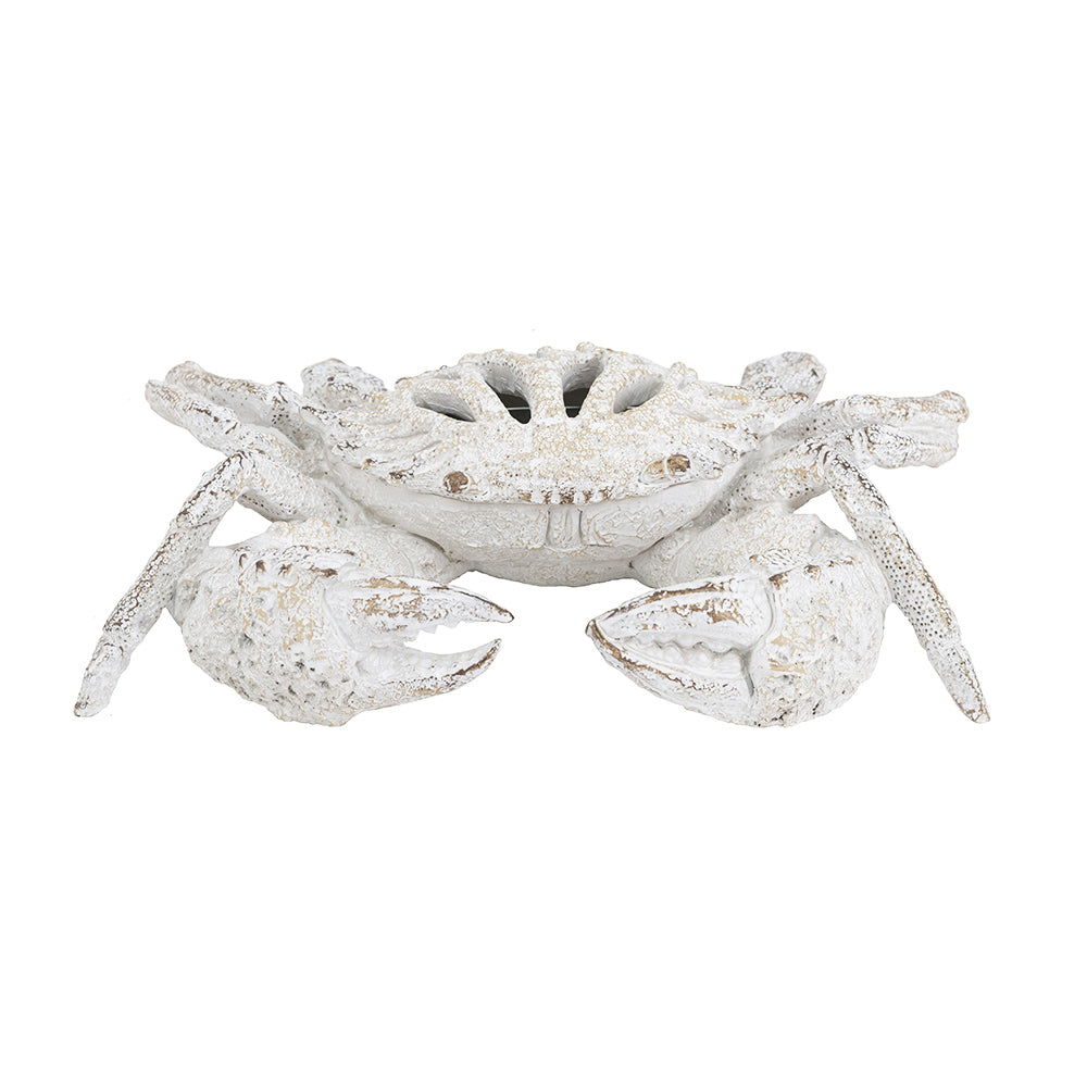 Coral Crab Sculpture Medium - Vintage White