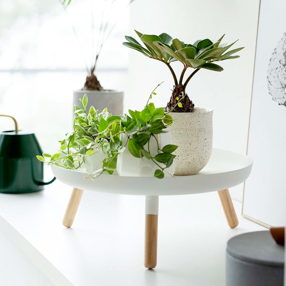 Countertop Pedestal Tray - White