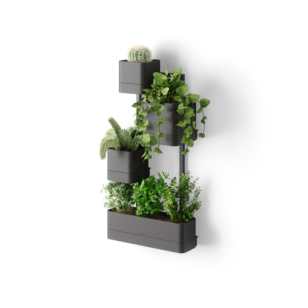 Cubiko Wall Planter - Black