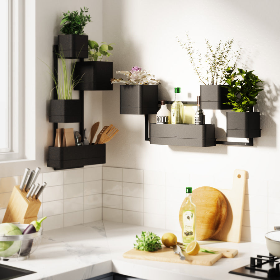 Cubiko Wall Planter - Black