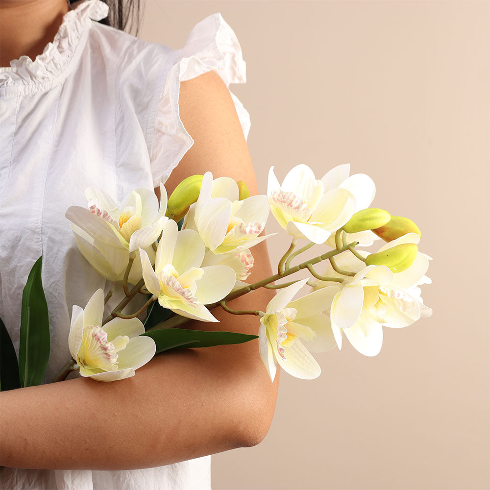 Cymbidium Orchid Faux Stem - Buttercream