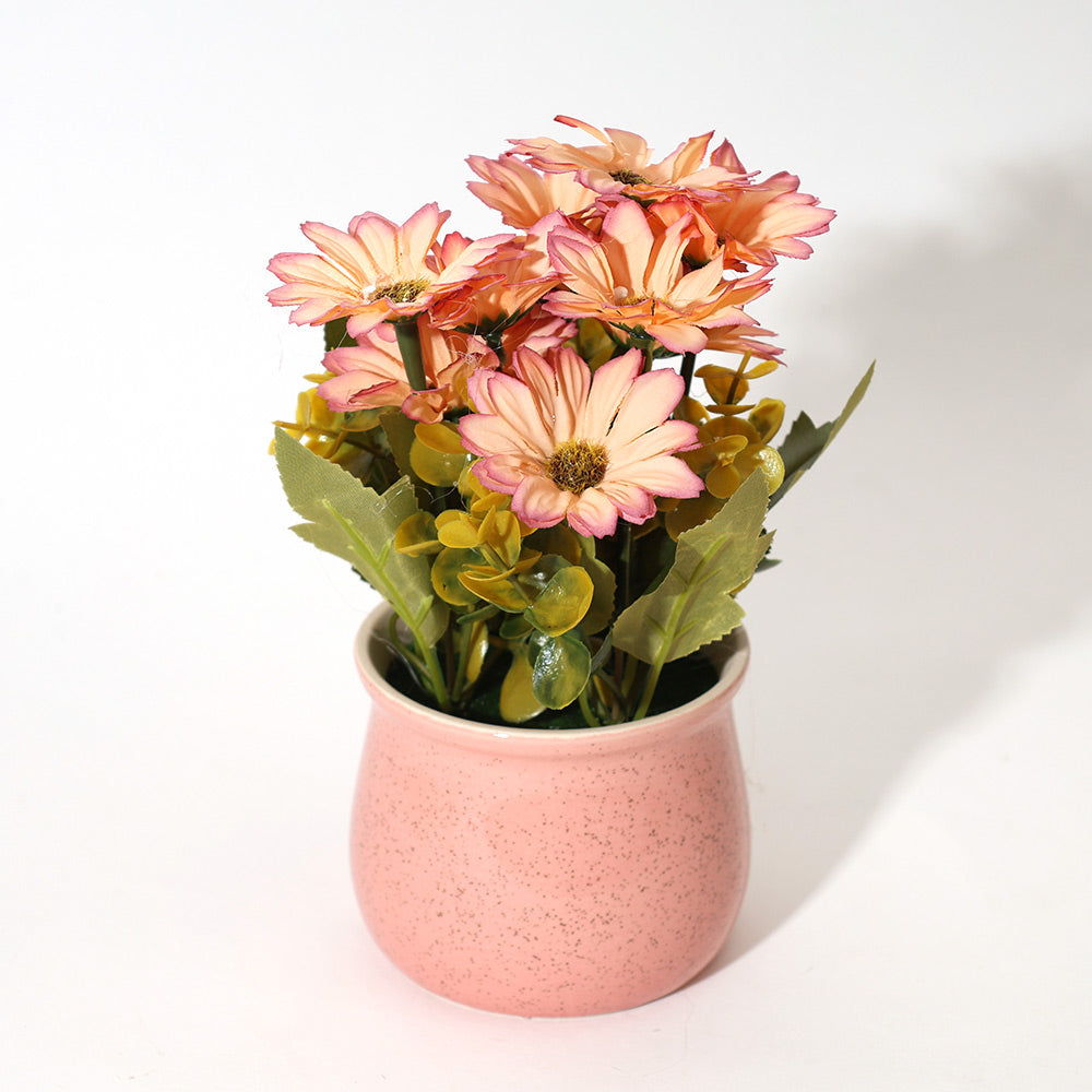 Daisies Artificial Potted Plant - Sunset Pink