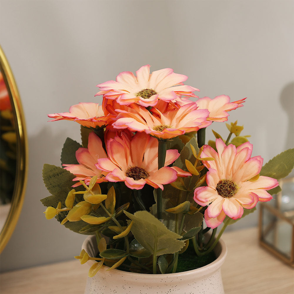 Daisies Artificial Potted Plant - Sunset White