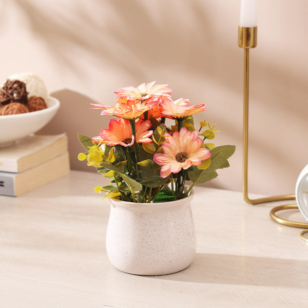 Daisies Artificial Potted Plant - Sunset White
