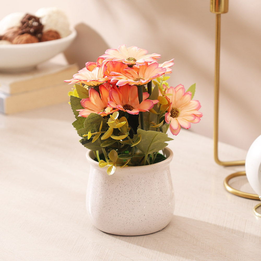 Daisies Artificial Potted Plant - Sunset White