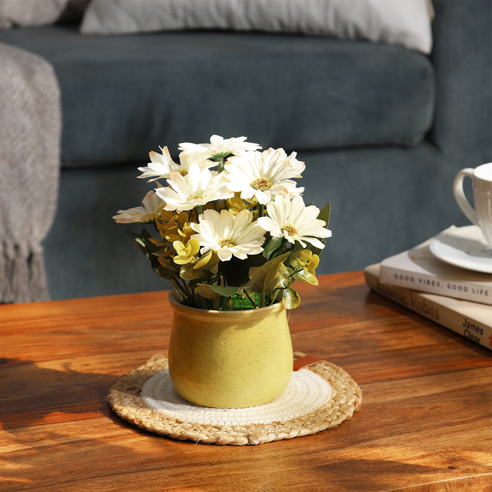 Daisies Artificial Potted Plant - White Yellow