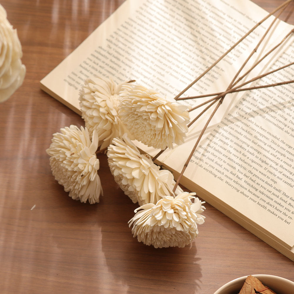 Dried Sola Chrysanthemum Bunch - Cream