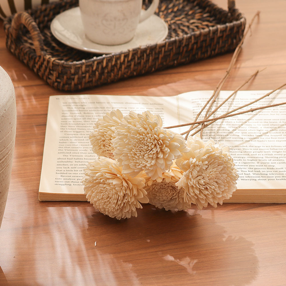 Dried Sola Chrysanthemum Bunch - Cream
