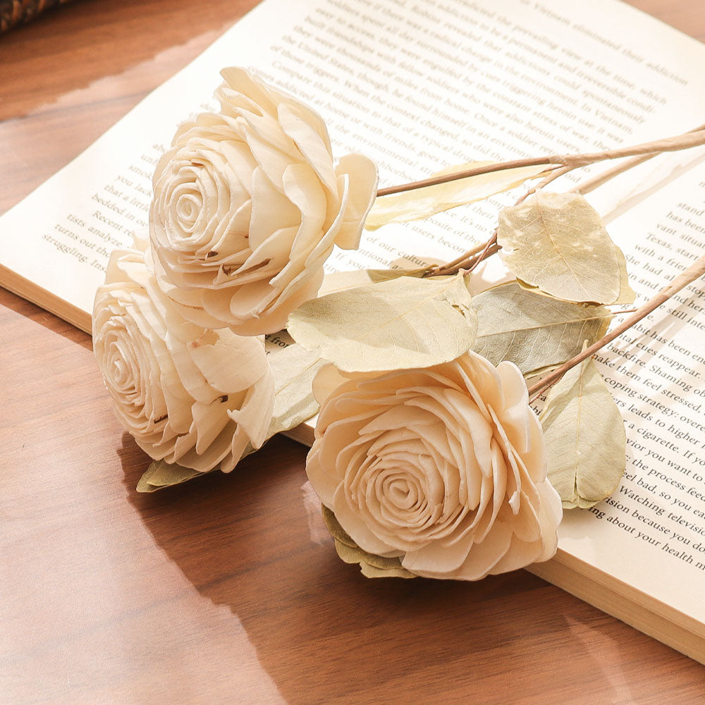 Dried Sola Rose Bunch - Cream