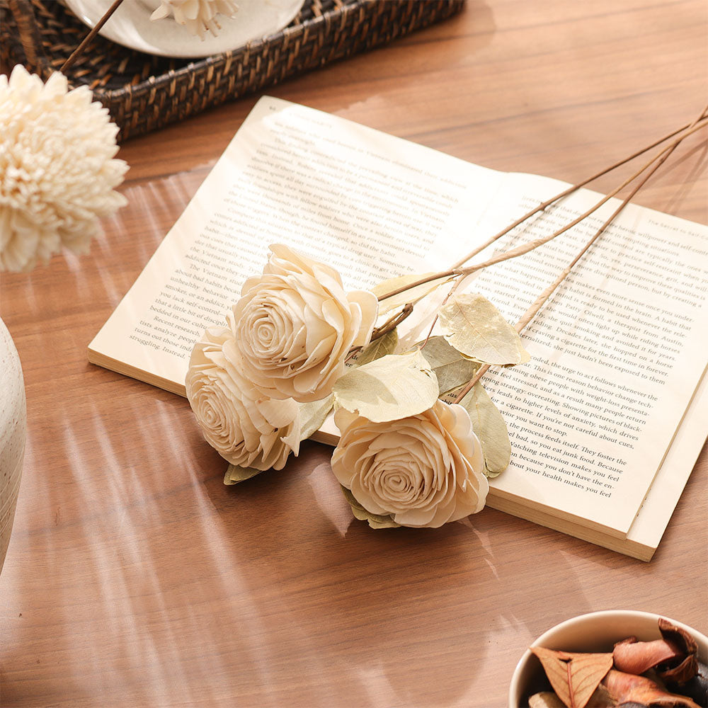 Dried Sola Rose Bunch - Cream